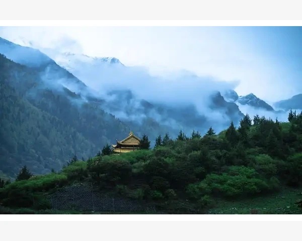 补气虚，这些中成药值得一试