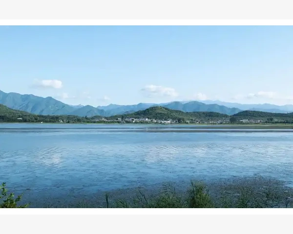 小儿清肺咀嚼化痰，关注宝宝呼吸健康