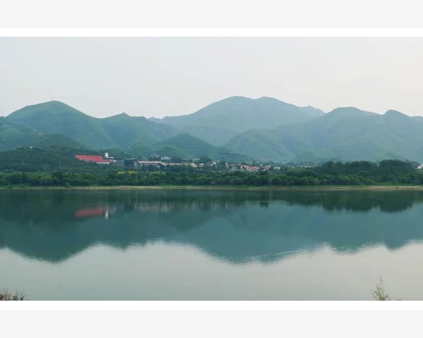 中医治疗咳嗽化痰：消炎针与传统方法结合的神奇效果